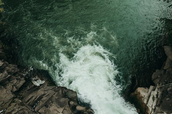 Quels sont les meilleurs spots pour la plongée avec les requins-baleines à Ningaloo Reef, Australie?